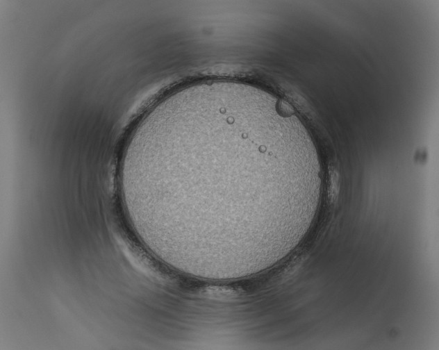 X0000112770636200909171314