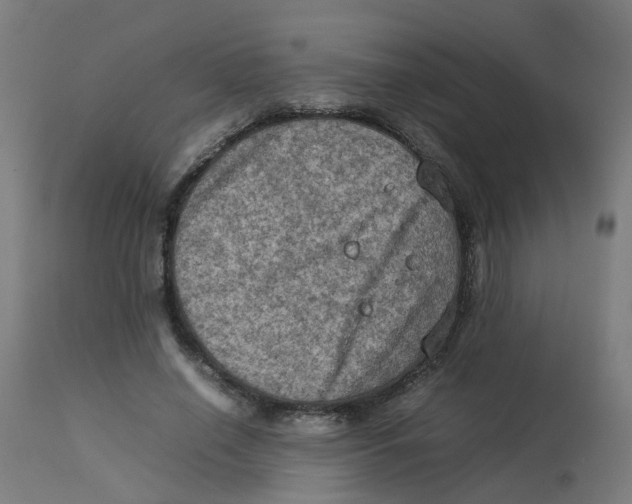 X0000112770638200909171314