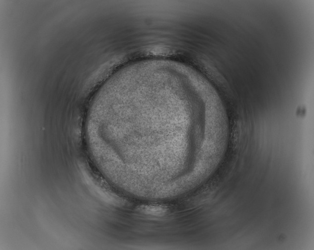 X0000112770639200909171314