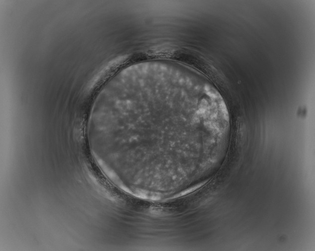 X0000112770641200909171314