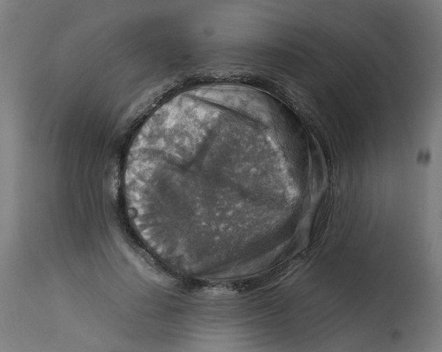 X0000112770644200909171314