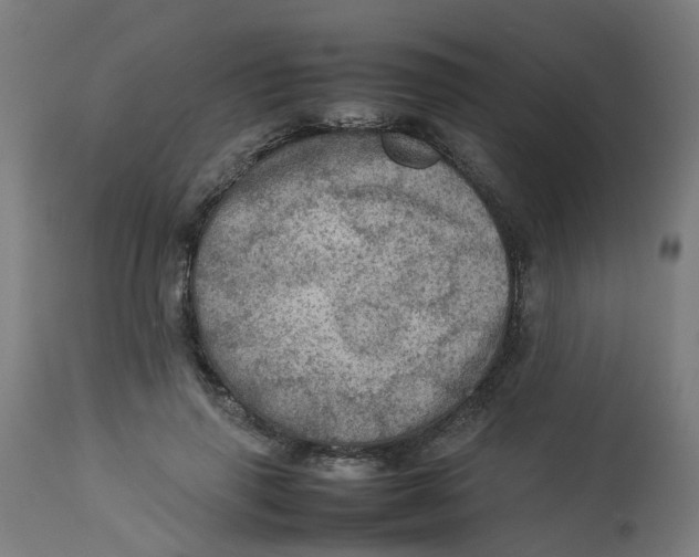 X0000112770645200909171314