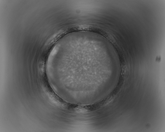 X0000112770648200909171314