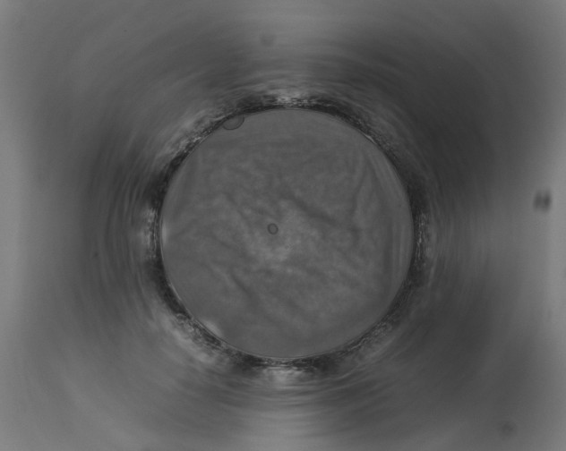 X0000112770650200909171314