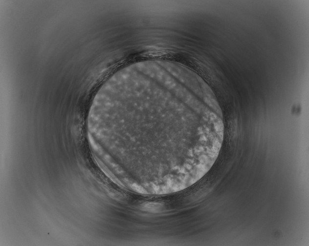 X0000112770653200909171314