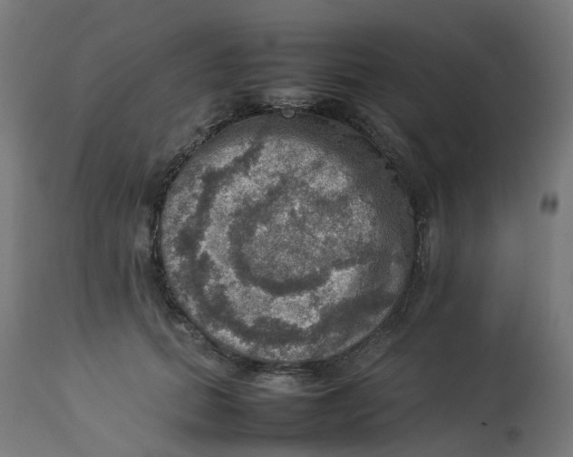 X0000112770655200909171314