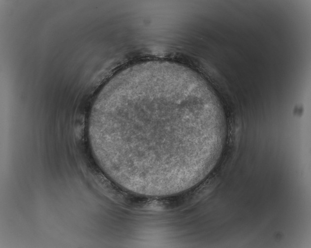 X0000112770656200909171314