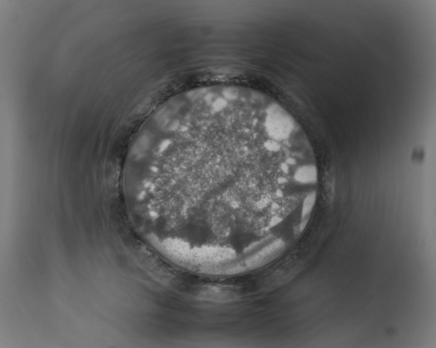 X0000112770657200909171314