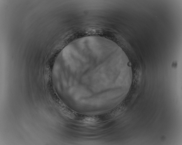 X0000112770659200909171314