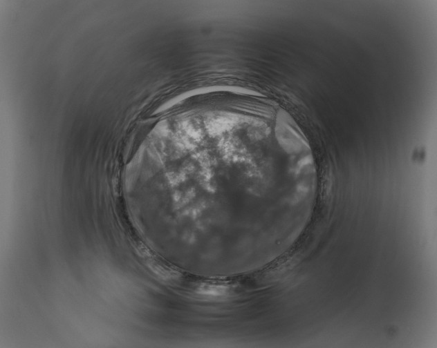 X0000112770661200909171314