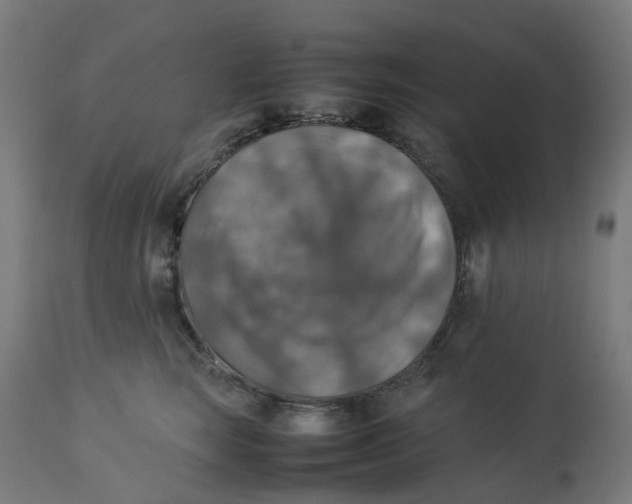 X0000112770663200909171314