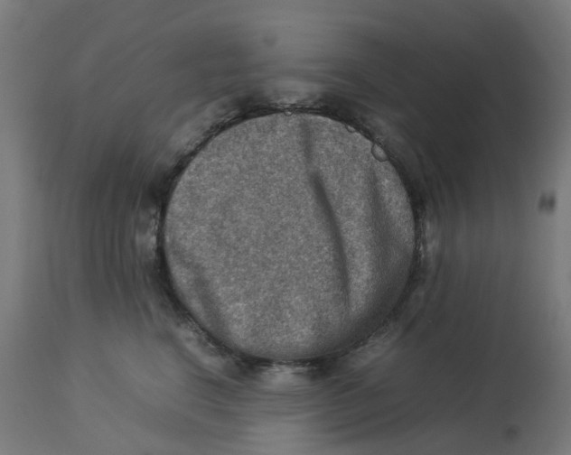 X0000112770664200909171314