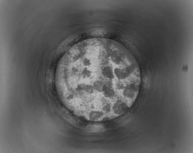 X0000112770665200909171314