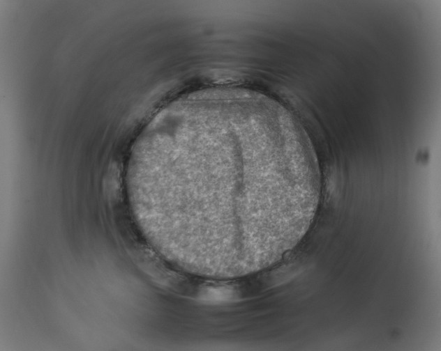 X0000112770667200909171314