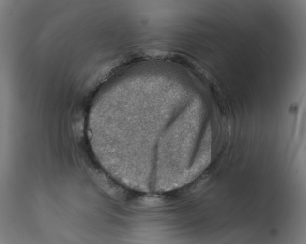 X0000112770668200909171314