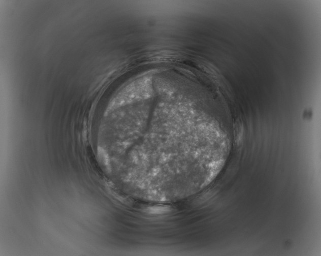 X0000112770669200909171314