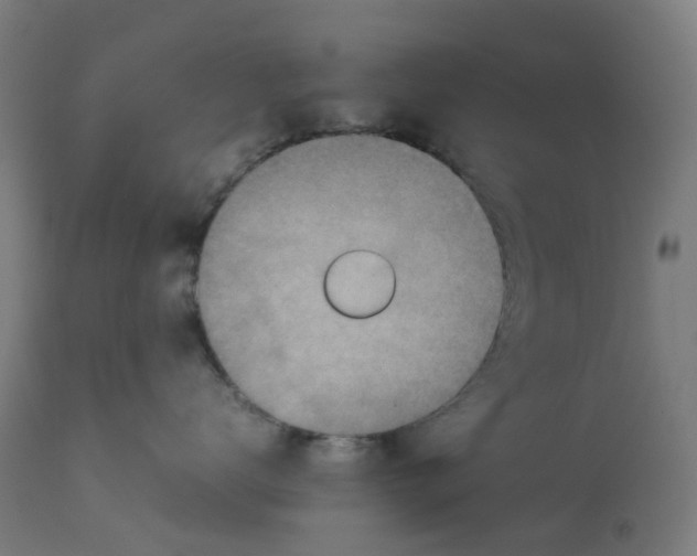 X0000112770672200909171314