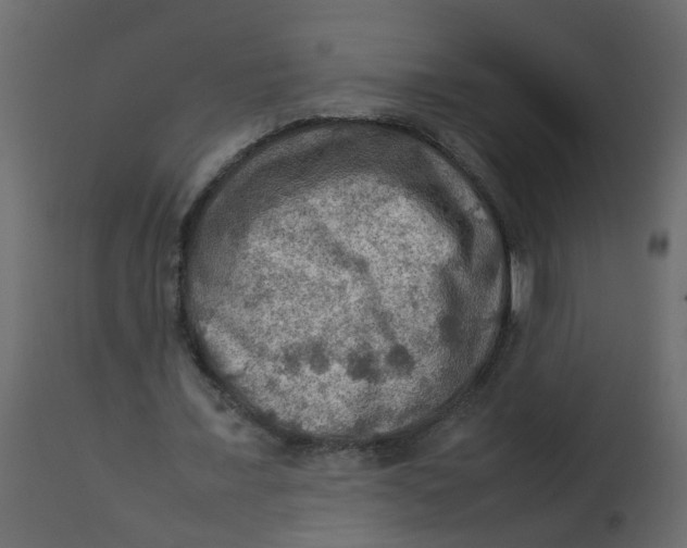 X0000112770675200909171314