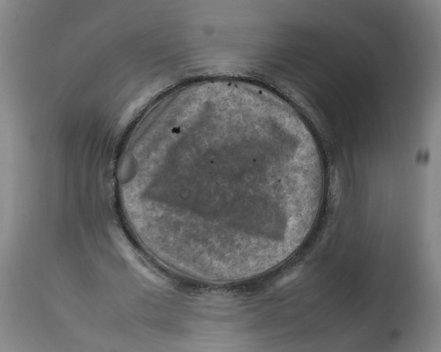 X0000112770677200909171314