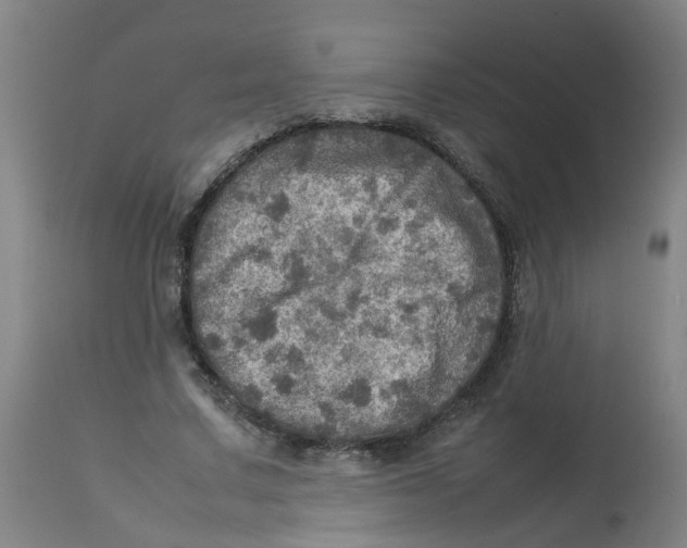 X0000112770683200909171313