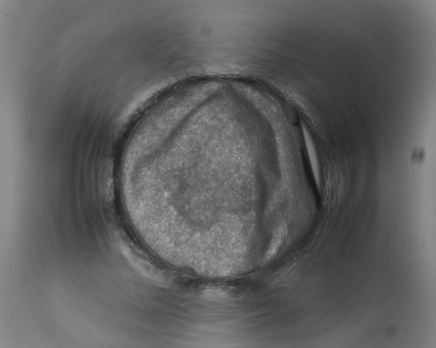 X0000112770684200909171313