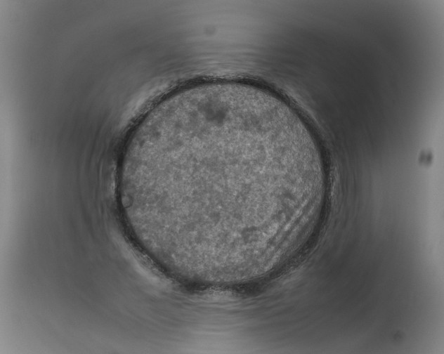 X0000112770685200909171313