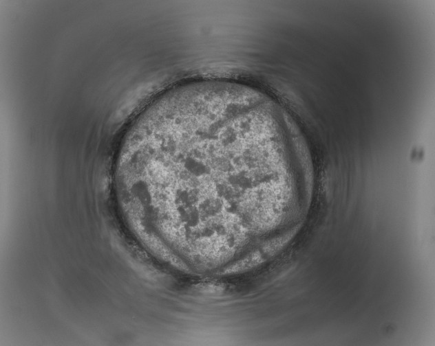 X0000112770687200909171313