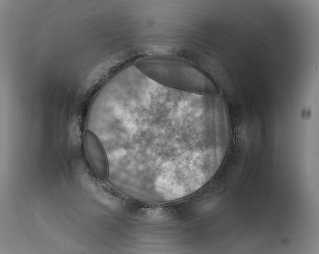 X0000112770688200909171313