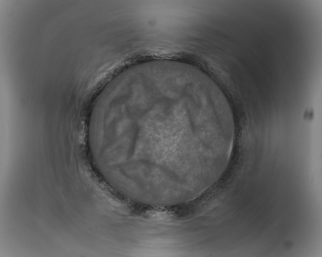 X0000112770689200909171313