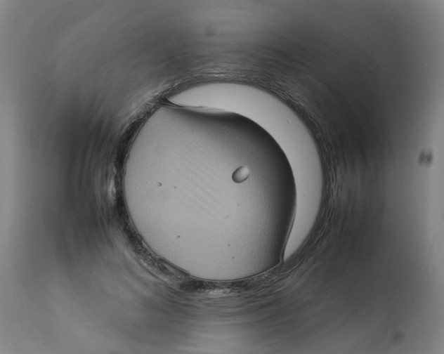 X0000112770692200909171313