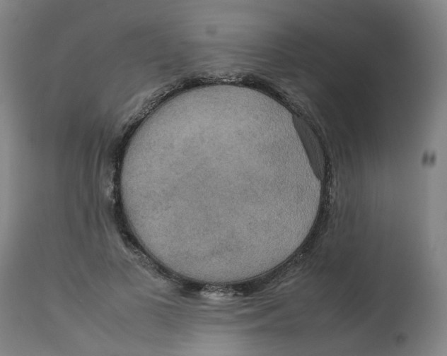 X0000112770693200909171313