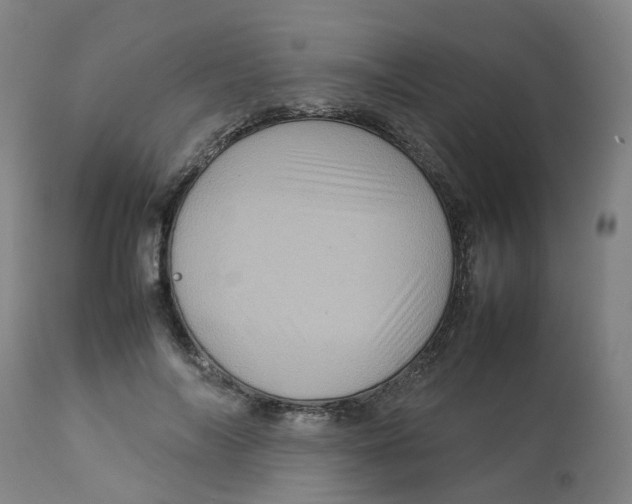 X0000112770694200909171313