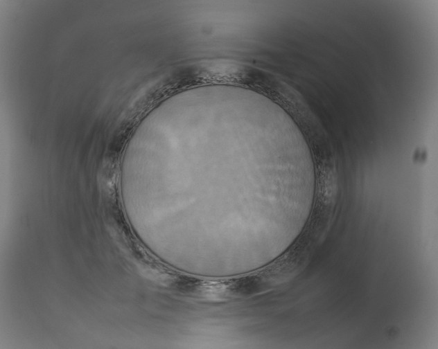 X0000112770701200909171313