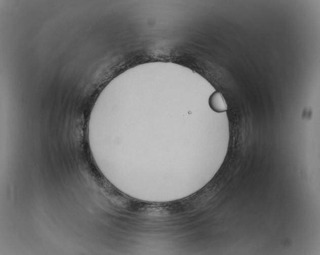 X0000112770702200909171313