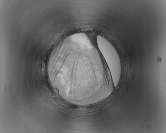 X0000112770704200909171313