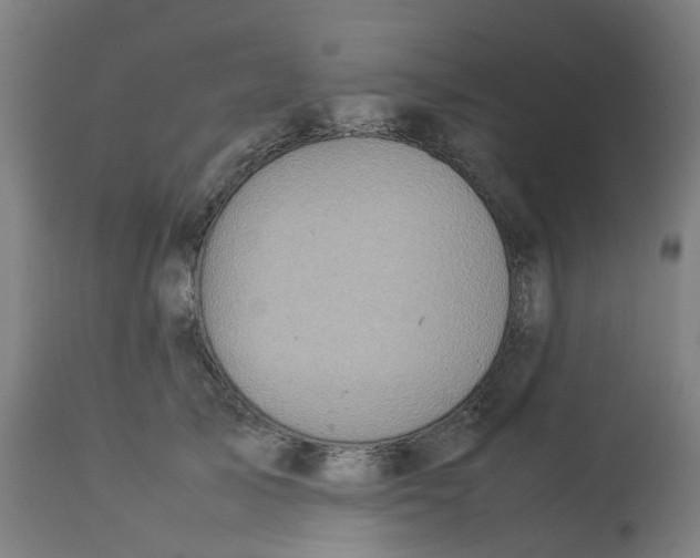 X0000112770705200909171313