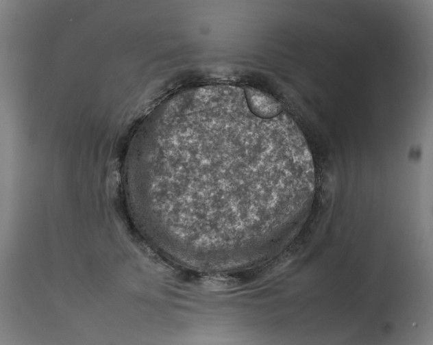 X0000112770707200909171313