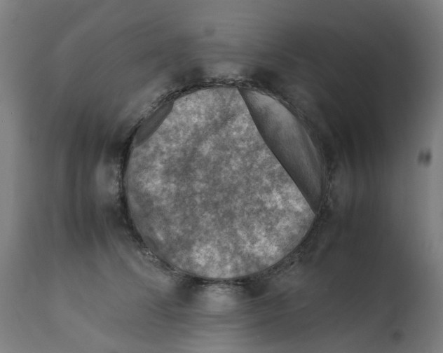 X0000112770708200909171313