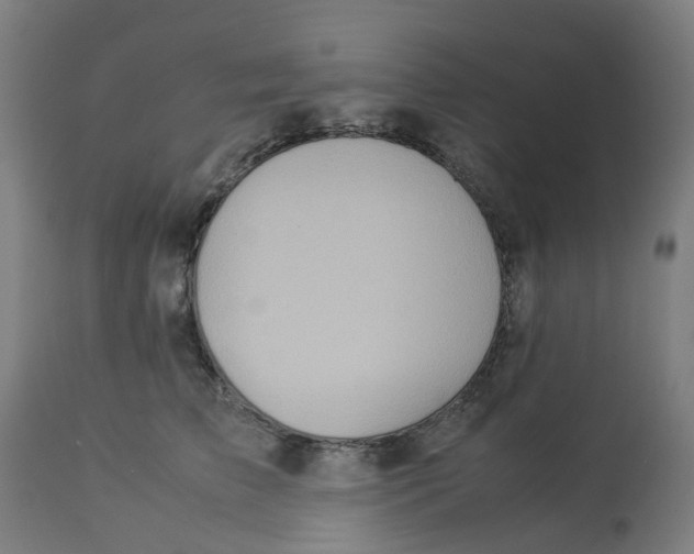 X0000112770709200909171313