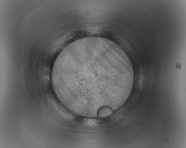 X0000112770710200909171313