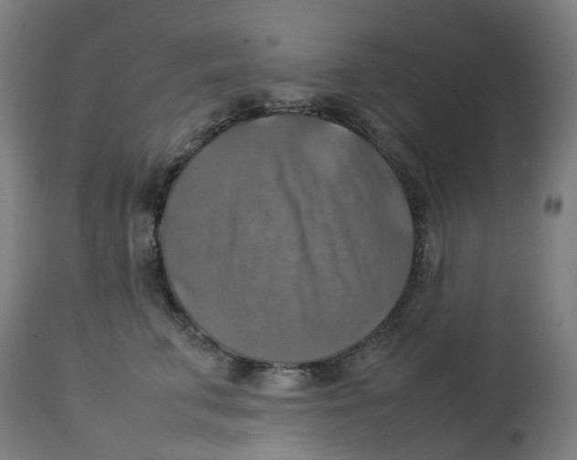 X0000112770711200909171313