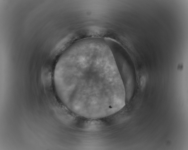 X0000112770716200909171313