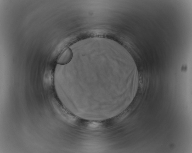 X0000112770718200909171313