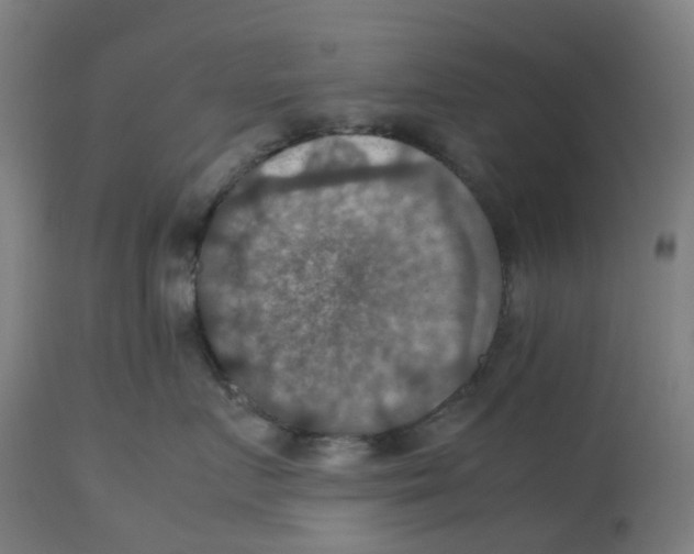 X0000112770719200909171313