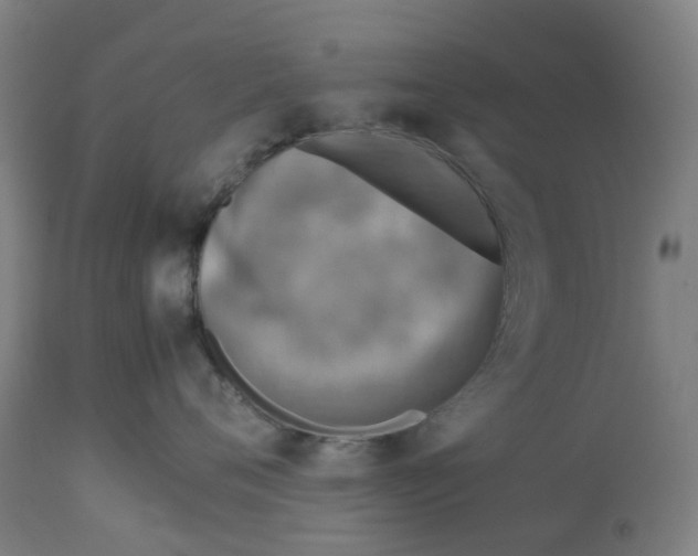 X0000112770720200909171313