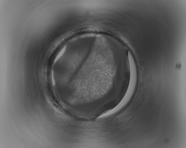 X0000112770722200909171312