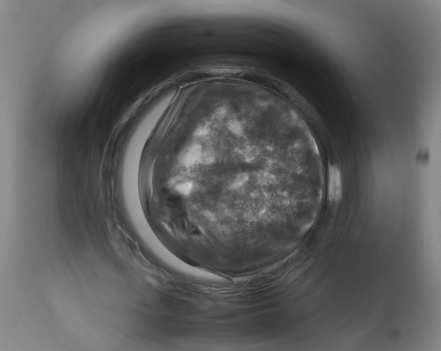 X0000112770723200909171312