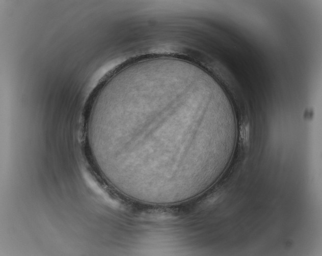 X0000112770724200909171312