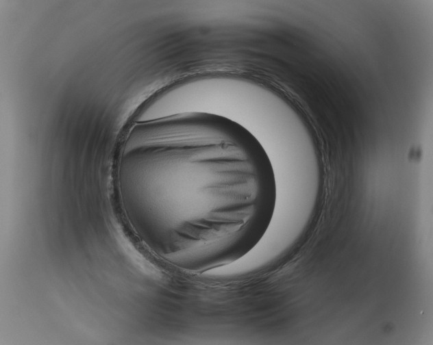 X0000112770725200909171312