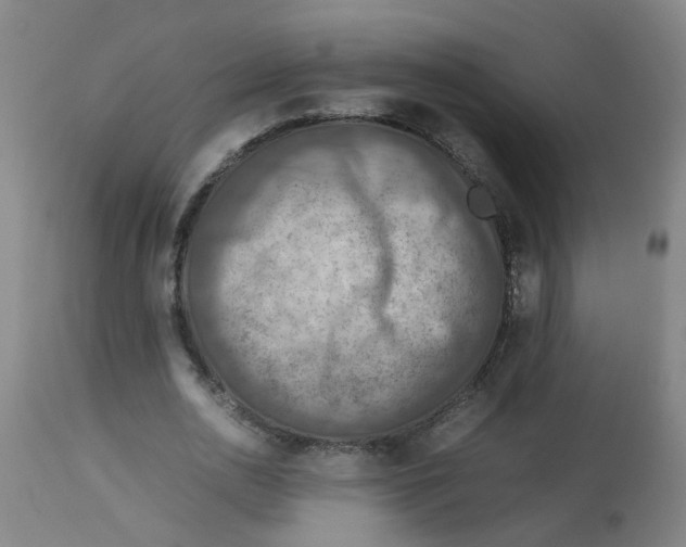 X0000112770726200909171312